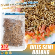 Dried Fish Semi Dulong Dilis 100g/200g/500g/1kg Dried Anchovies / Gourmet Dried Fish / Sun-Dried / C