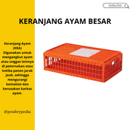 Keranjang ayam besar / medion / kerambah ayam