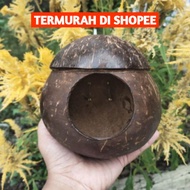 Glodok Bird House Natural Coconut Shell Bird House