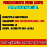 Bunga Anggrek Bulan / Buket Bunga Anggrek / Rangkaian Bunga Anggrek