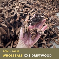 [WholeSale] Driftwood (Super Nano 7cm-10cm) for aquarium or airplant / plantation (Kayu utk akuarium / pokok)