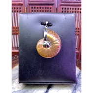 Premium Grade Ammonite crystal pendant (班彩螺) - 12.9g