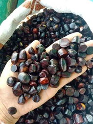 1kg KABAU /JOLANG JALING KUALITAS SUPER