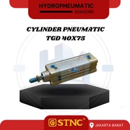 Tvd 40X75 STC CYLINDER PNEUMATIC PROFILE Tvd-40X75