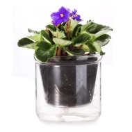 4 Inch Self Watering Pot African Violet PotBottom Watering Glass Planter for Indoor Plants and Proga