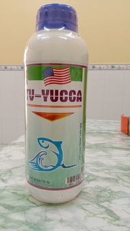 TV- YUCCA Sản phẩm hoàn hảo cho cá nổi đầu do khí độc NH3