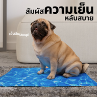 Pando Pet Cooling Mat - Ocean Blue (L) แพนโด้ เบาะเจลเย็นสำหรับสัตว์เลี้ยง สีน้ำเงิน