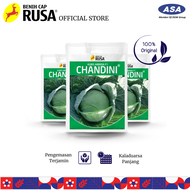 Benih Cap Rusa - 3330 BENIH BIBIT BIJI KUBIS CHANDINI - 25 & 10 GRAM | Sahabat Rusa