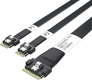 10Gtek SlimSAS SFF-8654 8i to 2xSFF-8654 4i 24G Internal Cable, PCIe 4.0, 85-ohm, 0.75~0.8m(2.46~2.6