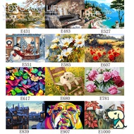 YY YR1  DIY oil painting paint by number 数字油画 E431 40x50cm 野菊花 风景海岸 组合系列1 S1