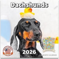Dachshunds Calendar 2026 - Deluxe 2026 Wiener Dog Wall Calendar Bundle with Over 100 Calendar Remind