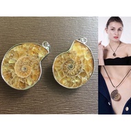 Sea Nautilus Natural Ammonite Fossil Shell Pendant Necklace