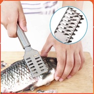 Stainless Steel Fish Scaler and Fish Scaler _GD888