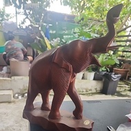 lucky wood elephant 23*34inches
