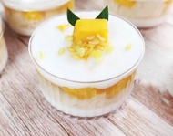 มาวินช้อป ยกลัง 300ชุด 🔥ถ้วยมูสพุดดิ้ง🔥🔥รุ่นขายดี🔥┇ถ้วยซัมเมอร์ ถ้วยวุ้น Tiramisu Pudding Cup ทรงกลม