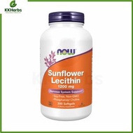 NOW Foods - 向日葵卵磷脂1200毫克200粒液態軟膠囊 [香港行貨] 此日期前最佳:2028年04月30日