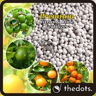 Premium Citrus and Lime Fertilizer Baja Limau Kasturi Citrus Fruiting Fertilizer NPK 13-11-21 优质柑橘肥
