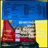 Best Seller Best Seller Benih Padi Hibrida Bshs-6H Kemasan 1Kg Tahan Blas Potong