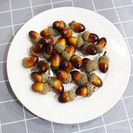 Natural Ornaments Home Micro Landscape Dried Fruit Accessories Pine Cone Zhenshi Showcase Acorn Acor