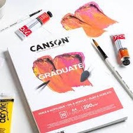 Canson graduate oil & acrylic pad 290gsm 20 sheets