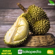 Best Seller Durian Montong Bali-Palu Premium Fresh Utuh Pilihan -