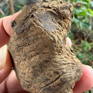 加里曼丹 野生沉香老料 41公克 沉水級 沉香擺件 星洲系 #沉香