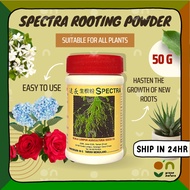 Spectra Rooting Powder Rooting Hormone Powder 50g Plant Hormone Hormon Pertumbuhan Akar Penggalak Ak