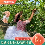 Mesh Bag Guava Bagging Guava Insect-Proof Bag Fruit Bag Fruit Protection Bag Thickened Integrated In