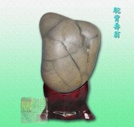 奇石-象形石-人物-駝背壽翁(台東西瓜石)