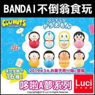 哆啦A夢系列 小叮噹 BANDAI 萬代 不倒翁食玩 14個入 coonuts 扭蛋 公仔 LUCI日本代購