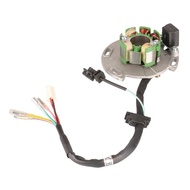 Motorcycle 150cc Coil Stator Magneto is Suitable for LF150 150cc Horizontal Engine Pit Bicycle 150cc