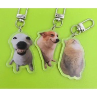 Kitten Sleeping Meme keychain, Dog Laughing Meme, Screen Smiling Corgi Dog Meme transparent acrylic 