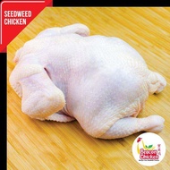 (Klang Valley) Beacon Seaweed Whole Chicken Chicken