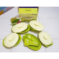 HIJAU Ah tupperware - tupperware blossom set Green - tupperware set lunch box - lunch box - School lunch box - Bulkhead box - Drinking Bottle - smiggle - School Drinking Bottle - koi Bottle - tumbler - Glass tumbler - Bottle Glass