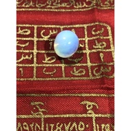 geliga burung cenderawaseh