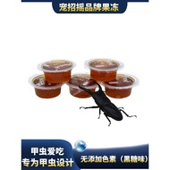 Beetle Jelly Unicorn Insect Jelly Table Feed Mammoth Beetle Beetle Adult Brown Sugar Stag Beetle Foo