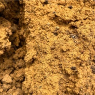 Pure Yellow Soil, Top Soil (20L) For Water Plants