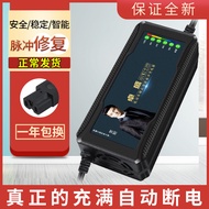 Tailing Electric Vehicle Original Charger Dedicated 48V12AH60V20AH72V30AH Genuine New Style Cloud Pl