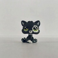 【Ready Stock】littlest pet shop Pets Doll Cat Dog Chihuahua Figure Toys littlest pet shop house littl