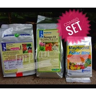 Baja Foliar 3 Serangkai Mayhochst Swiss Grow Bio Amina Benegro EX Foliar Biru Combo Set Fertigasi Nu