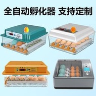 費孵化器 110V 全自動 小雞孵化機 智能恒溫 孵蛋器 恒溫孵化箱 鴨鵝孵蛋機