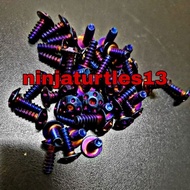 Screw m5 （screw kasar）titanium gold