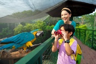 Jakarta Bird Land Ancol