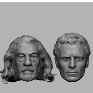 Headsculpt Head HS MAGNETO IAN MCKELLEN and MICHAEL FASSBENDER Action Figure shf figma Marvel Legend