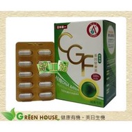 [綠工坊] 綠藻精 C.G.F基因營養素 核綠旺