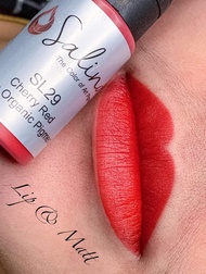 สีปากออแกนิค สีแก้คิ้ว SL06 - SL15 / SL28 SL29 สีปาก Salina สีติดดี ติดไว สักง่าย สวย หาสีไม่เจอทักข