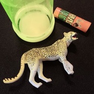 近新 動物豹組合展示品收藏品 子彈盒玩 立體拼接玩具
