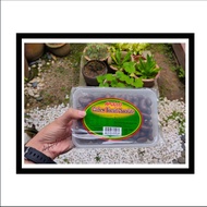 Biskut LEJEN 90AN Apollo Cashew Chocolate SELANGOR