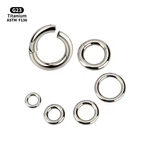 G23 Ttianium Big Gauge Large Size 2.0mm-4mm Hinged Segment Hoop Earrings Seamless Nose Rings Piercin