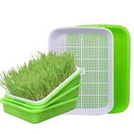 Bean Sprout Growing Tray Hydroponic Sprout Plate Seedling Germination Tray Home Use